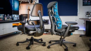 rfm verte vs anthros